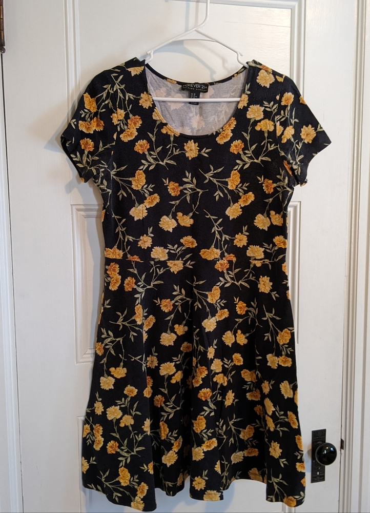 Forever 21+ Skater dress